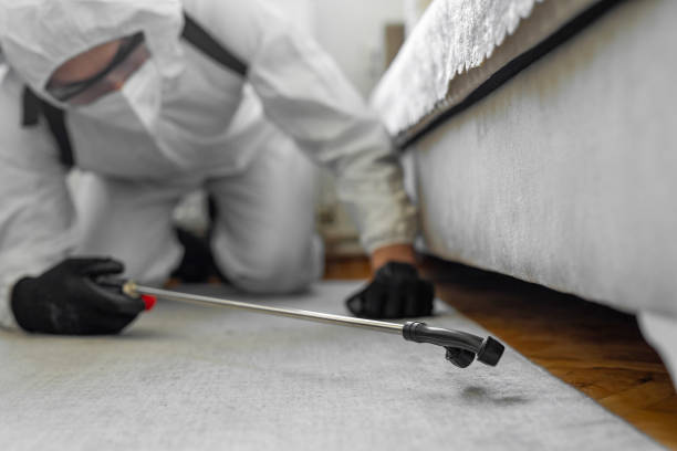 Professional Wasp Control technician working in Whidbey Island Station, WA