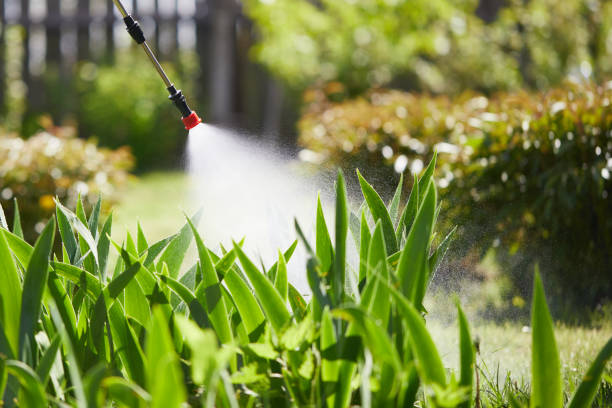 24/7 Emergency Rodent Control experts in Whidbey Island Station, WA