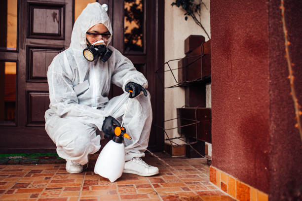 Reliable Rodent Control contractor in Whidbey Island Station, WA by Nex Pest Control