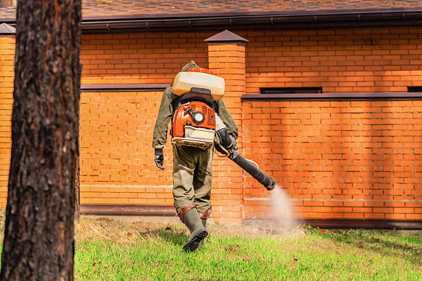 Trusted Emergency Pest Control service in Whidbey Island Station, WA - Nex Pest Control